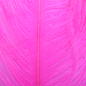  Wapsi Ostrich Herl Fluo Pink