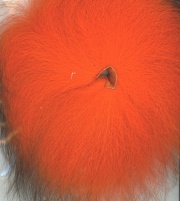   TFF Arctic Fox Fluo Fire Orange