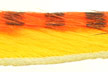   Hareline Tiger Barred Rabbit Strips Black/Orange/Yellow