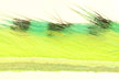   Hareline Tiger Barred Rabbit Strips Mahi Green/Black/Chartreuse