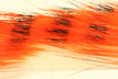   Hareline Tiger Barred Rabbit Strips Hot Orange/Black/White