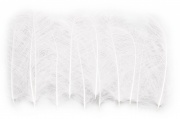   Marc Petitjean CDC- Feathers 1gr #5 White